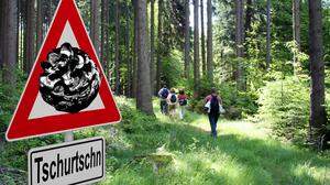 Müssen in Kärnten bald Tschurtschn-Warnschilder aufgestellt werden? Das fragen sich Leser – mit einem Augenzwinkern