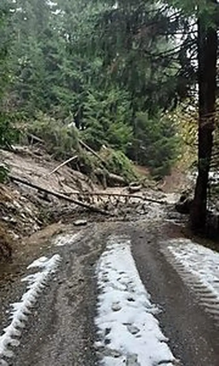 Bäume und Erdreich verlegten eine Forststraße in Göriach