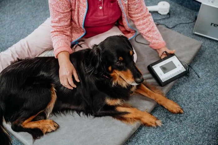 Klicken Sie sich durch die Bilder der Physiotherapie!