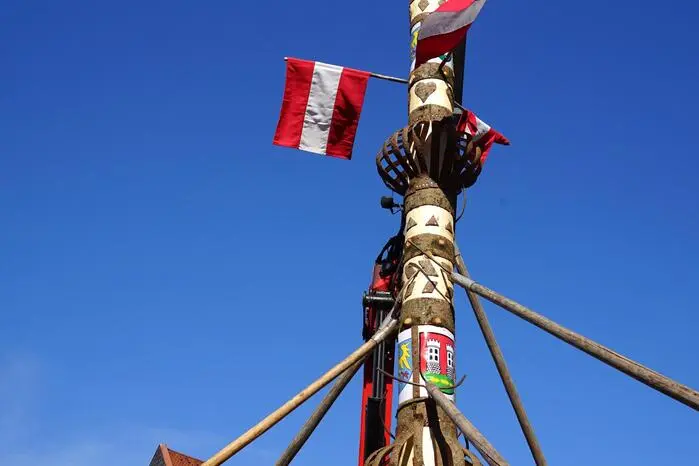Der Maibaum stammt aus einem Wald der Stadtgemeinde in Zangtal (Katastralgemeinde Tregist).