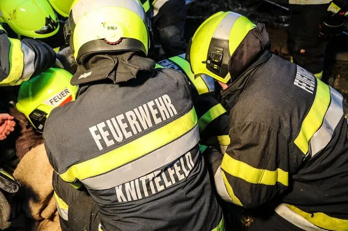 Mit dem Förderband wird Mist aus dem Stall transportiert. Es wurde für die Murtalerin zu einer Falle.