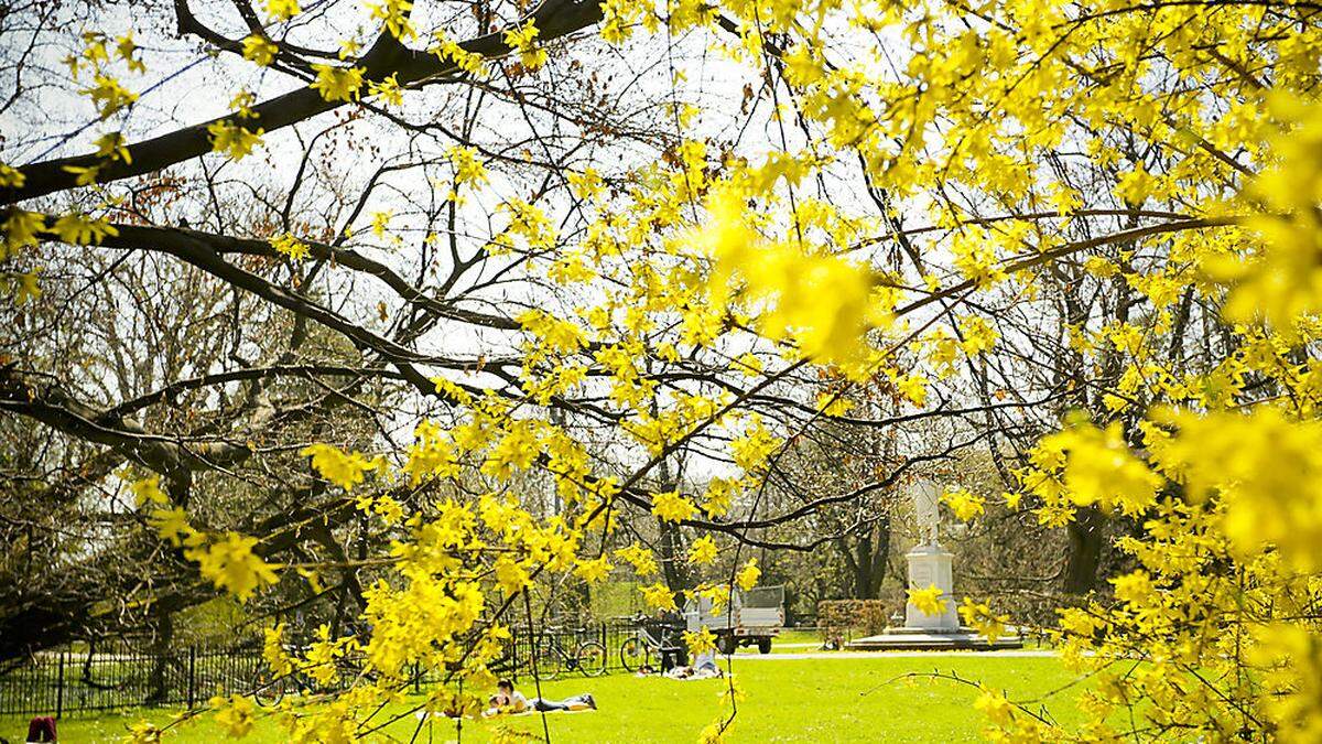 Frühling im Stadtpark