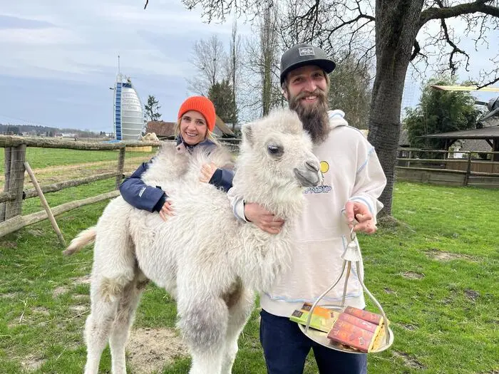 Die Tiere am Hof, darunter auch Kamele und Lamas, sind für die Schobers der Ausgleich zum fordernden Gastrobetrieb