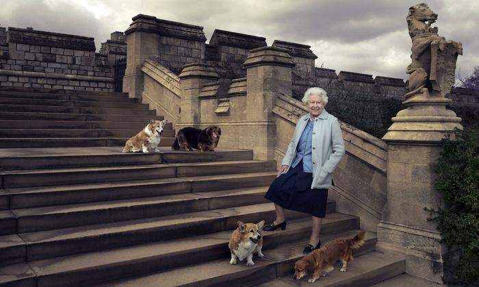 Die Queen mit ihren vier Hunden Willow, Vulcan, Candy und Holly auf Schloss Windsor
