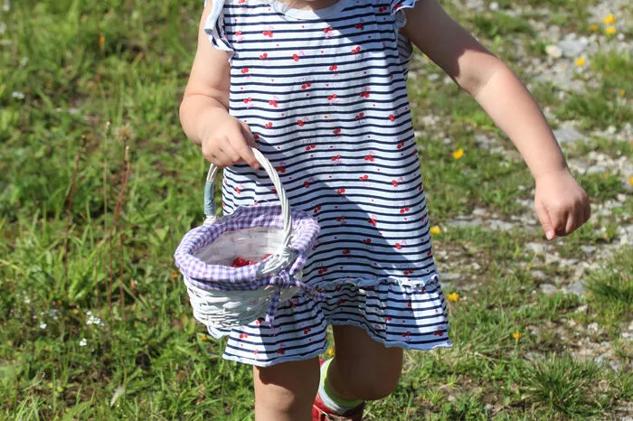 Ein Körbchen Waldhimbeeren für ihre Oma hat die kleine Lia gepflückt.