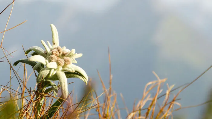 Wandern - ein Vergnügen ohne Altersbeschränkung