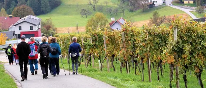 Bei der „Stürmischen Wanderung“ in Ligist stehen Bewegung und Genuss im Mittelpunkt