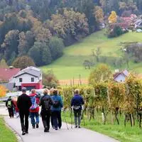 Bei der „Stürmischen Wanderung“ in Ligist stehen Bewegung und Genuss im Mittelpunkt