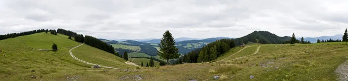 Die Sommer- und die Teichalm sind an Wochenenden in den Sommerferien mit drei Buslinien erreichbar