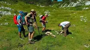 Wolfsbeauftragte des Landes Oberösterreich und Ramsauer Bauern beim Lokalaugenschein im Dachsteingebiet