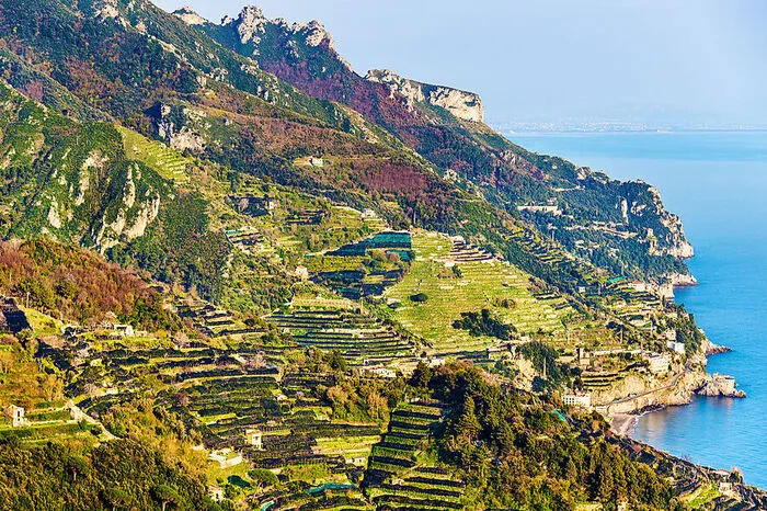 Wein von der Amalfiküste. Die Rebsorten Falanghina (weiß) und Piedirosso (rot) sind die feinen Grundlagen für fast alle Tropfen der Region Neapel samt Amalfiküste. Und wenn der bekannteste auch noch „Lacryma Christi“ heißt, muss einem ja nach Weinen zumute sein.