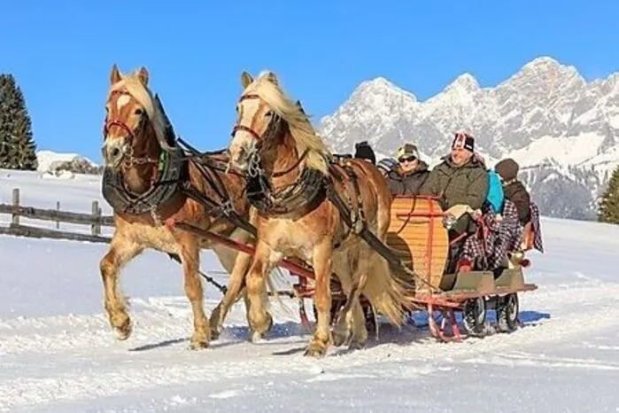 Lautlos gleitet der schwere Schlitten durch den Schnee, in eine warme Decke gekuschelt hört man die dampfenden Rösser zufrieden schnauben. Eine Fahrt mit dem Pferdeschlitten mit Haflingern kann man bei einigen Höfen in der Region Schladming-Dachstein erleben. Stämmige Noriker werden im Pferdezentrum Katschberg eingespannt.