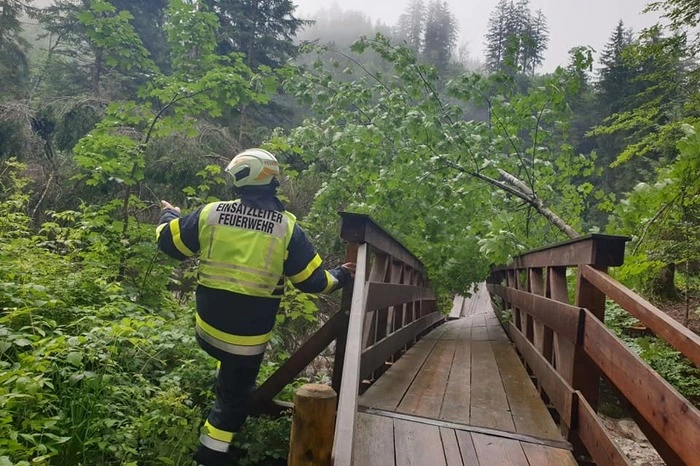 Unterspülte Bäume beschädigten eine Holzbrücke
