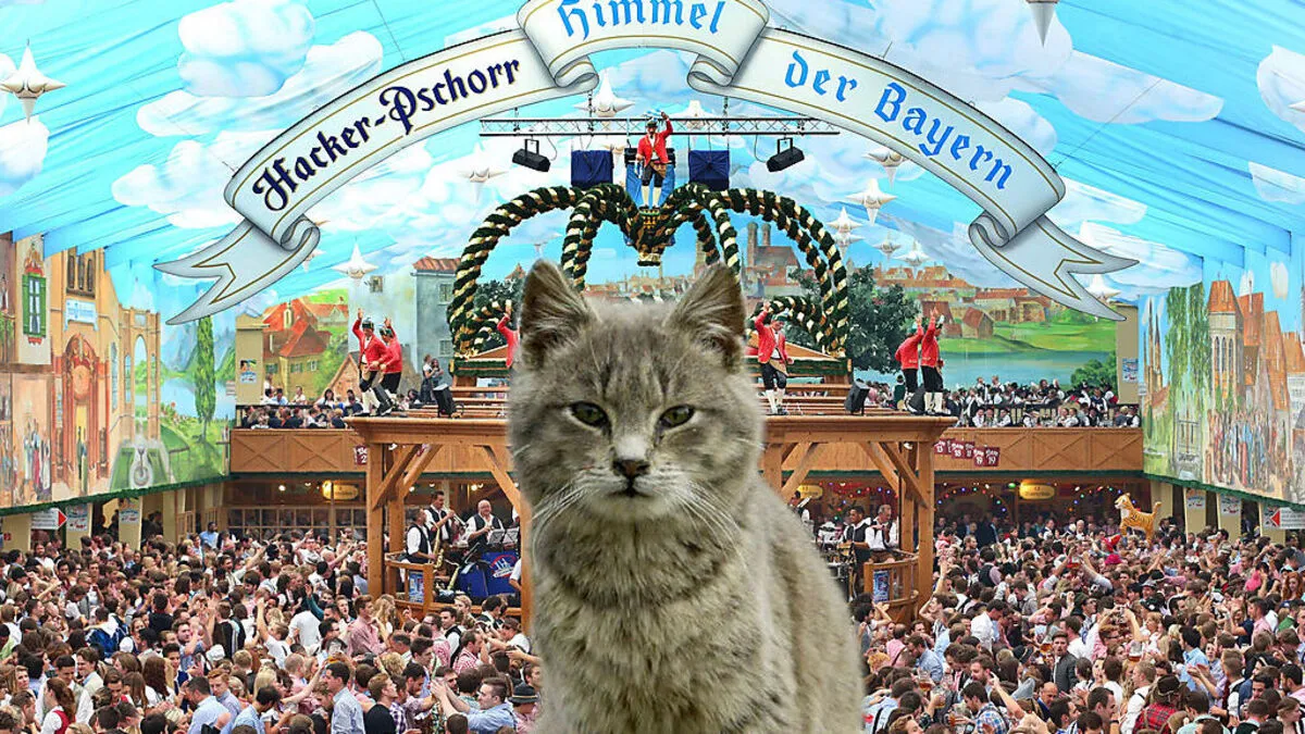 Eher unfreiwillig landete die Katze auf der Wiesn (Montage)