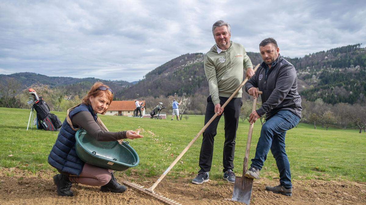 Christine Podlipnig, Obfrau des Vereins Blühen & Summen, Golfclub-Manager Gernot Komander und Greenkeeper Richard Körbler beim Aussäen der Blumensamen 