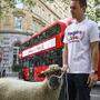 Britische Brexit-Gegner mit tierischer Verstärkung in Central-London