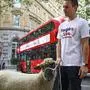Britische Brexit-Gegner mit tierischer Verstärkung in Central-London
