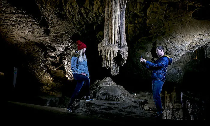 Wer in die Lurgrotte Peggau einsteigt, wird begeistert sein von der bizarren Tropfsteinwelt und begegnet vielleicht sogar der ein oder anderen Fledermaus