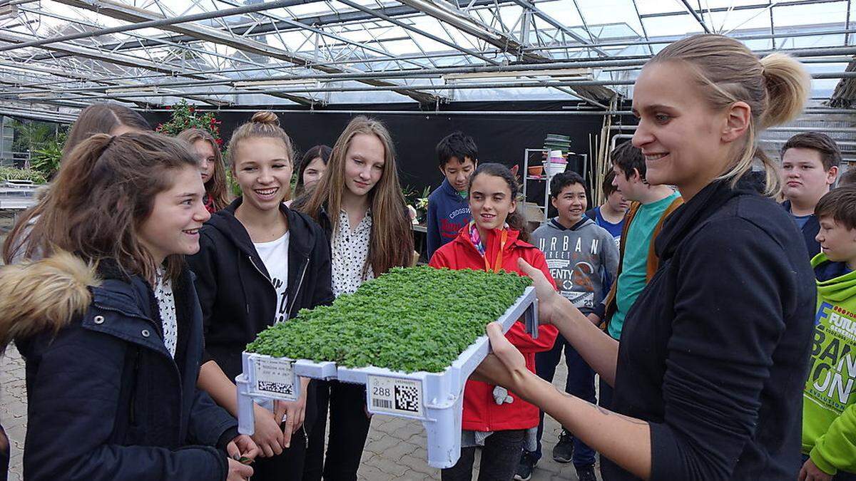 Die Schüler staunen: Die Saat für die Sommerblumen ist längst aufgegangen KLUGER (5)