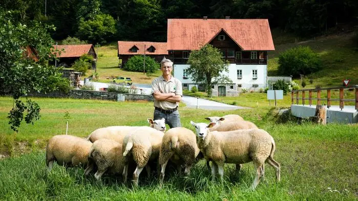 Züchter Bernhard Tasotti mit den Schafen auf der Wiese vor seinem Haus