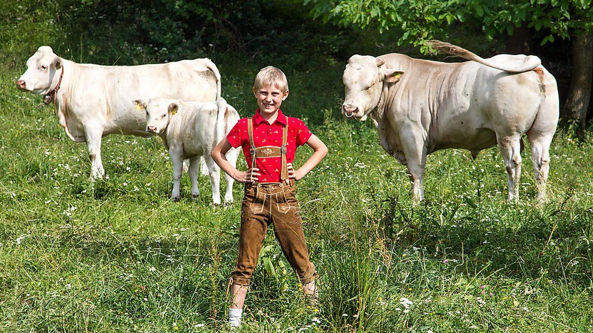 Das Blondviehfest in Eberstein fällt aus 