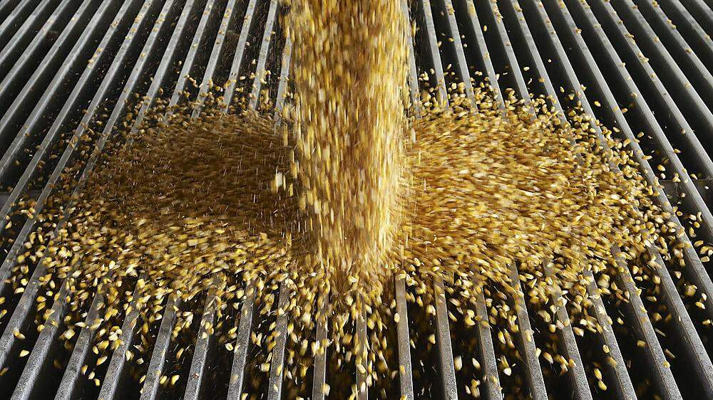 China hat vorübergehend Strafzölle auf amerikanisches Getreide verhängt 