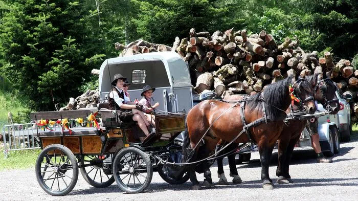 Klicken Sie sich durch die besten Fotos vom Dorffest in Winklern-Einöde in der Marktgemeinde Treffen