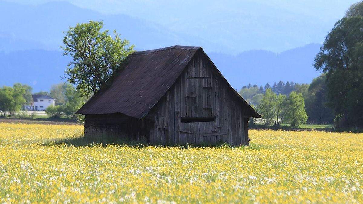 Wunderbares Bild von Walter Hochfellner