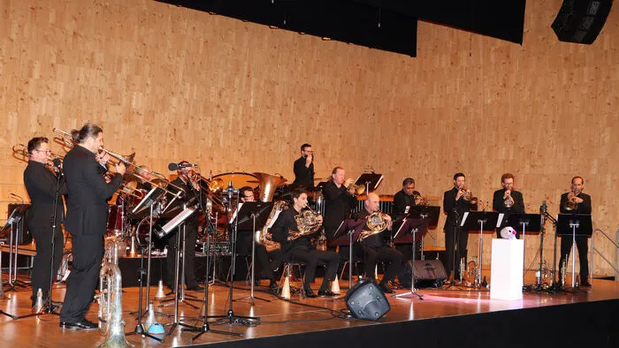 Die 17 Musiker von Pro Brass vereinen höchste Blechbläserkunst mit neuen Arrangements und eigenen Kompositionen, mit neuen Ideen und neuen Interpretationen. Die PRO BRASS Musiker/Besetzung des Abends waren:An der Trompete: Jürgen Ellensohn, Martin Griebl, Bertold Stecher, Aneel Soomary, und Lorenz Raab, am Horn: Peter Keserü und Matc Borbiro, an der Posaune: Walter Voglmayr, Andreas Eitzinger, Johann Reiter und Siegi Punz, an der Bassposaune Gerald Pöttinger, an der Tuba Peter Stadlhofer, an den Drums: Christian Mühlbacher, Percussion Stefan Reichinger und am Keyboard &amp; Klavier Nikolaus Wagner. Die Technik machte Erich Pintar.