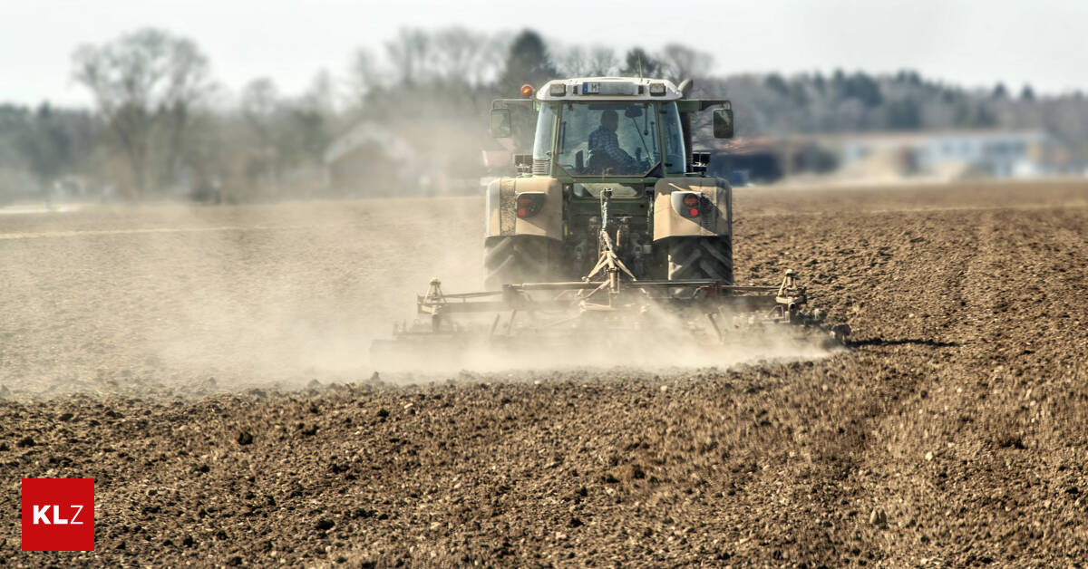 Grundwasser-Gewitterregen-brachte-unter-der-Erde-kaum-Erholung