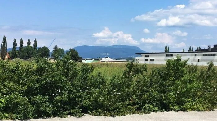 Es der Ferne gar nicht so leicht: Welcher Berg ist auf dem Foto zu sehen? 