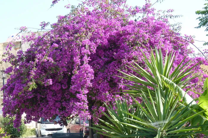 Klicken Sie sich durch die weiteren Fotos aus Rhodos