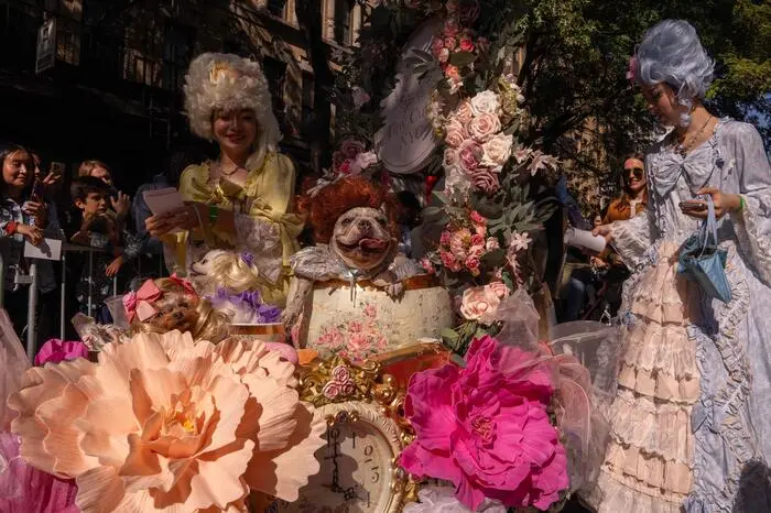 Klicken Sie sich durch die besten Bilder der Hunde Halloween Parade in New York