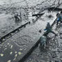 Ein letztes Mal wurde der große Teich abgefischt