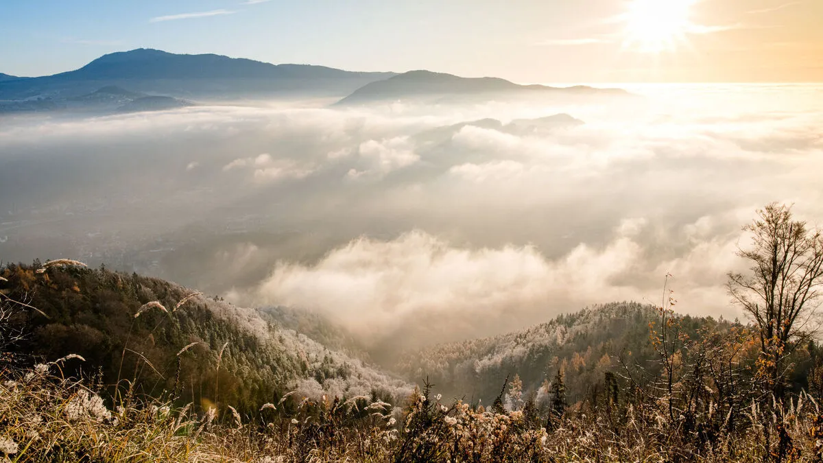 Genuss pur – die wärmende Wintersonne über dem grauen Nebelmeer