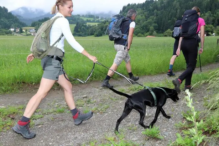 Es war heute ein herrliches Wanderwetter für Mensch und Tier!