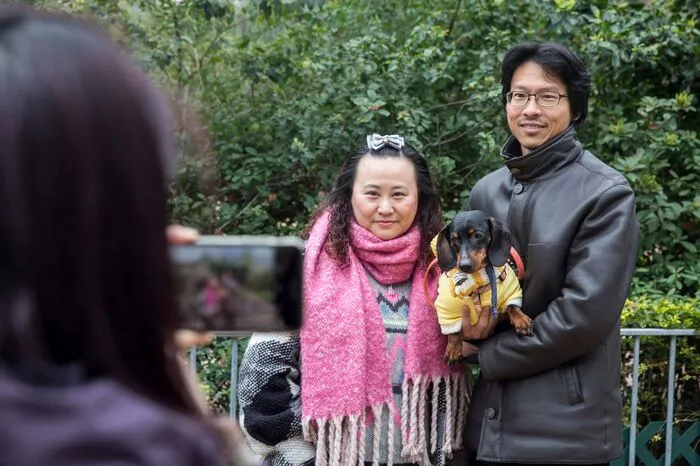 In der chinesischen Sonderverwaltungszone wird Mitte Februar Neujahr gefeiert: Dann beginnt das Jahr des Hundes.