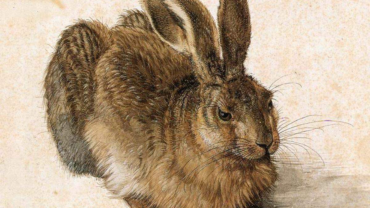Der weltbekannte Dürer-Hase