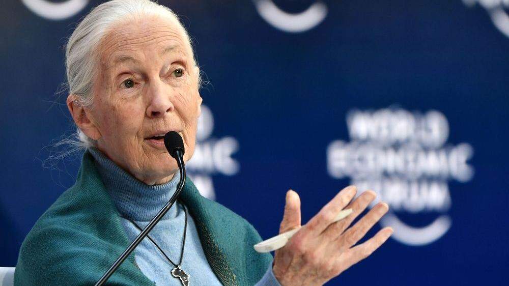 Umweltaktivistin Jane Goodall 