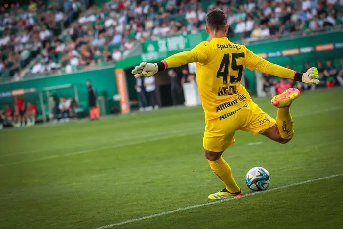 Niklas Hedl