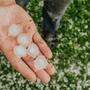 Large hail in human hands on the green grass background.