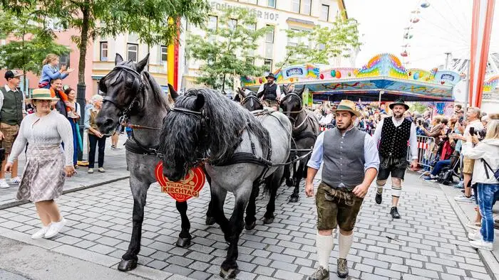 Auch heuer dürften die Pferde der Bauerngman wieder Teil des traditionellen Umzugs sein