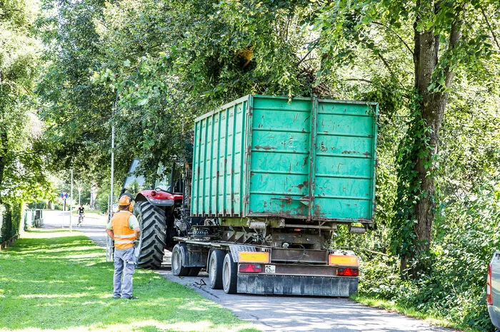 Baumschnittarbeiten entlang der Wege der Glan.