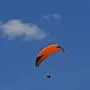 Der Paragleiter streifte einen Baum (Symbolfoto)