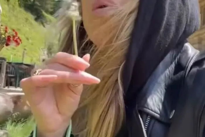 Auch für Urlaub war Zeit - Pusteblume