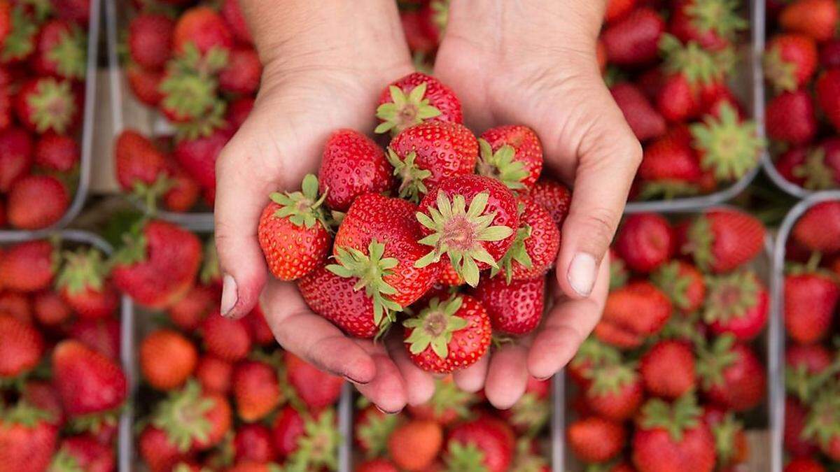 Obst und Gemüse könnten teurer werden