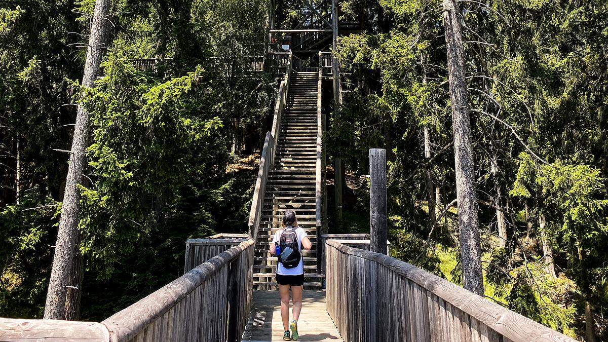 Tina hat für uns den Wipfelwanderweg Rachau erkundet