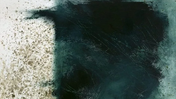 Niemand hat die in der Bibel geschilderte Erschaffung der Welt, von Tieren und Menschen so genial in Musik gesetzt wie Joseph Haydn in seinem Oratorium „Die Schöpfung“. Wie spannend und beseelt diese Schöpfungsgeschichte musikalisch erzählt ist und verklärt wird, hört man auf der glänzenden Neuaufnahme der Gaechinger Cantorey unter ihrem Leiter Hans-Christoph Rademann. Das hat Verve und Innerlichkeit, Präzision und Ausdruck. Joseph Haydn. Die Schöpfung. Accentus.