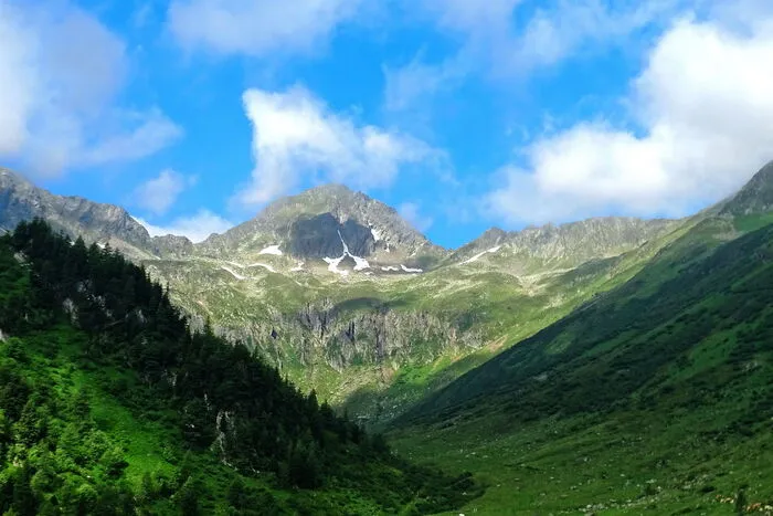 Beliebtes Ziel ist auch die Eselsberger Alm im Bezirk Murau.