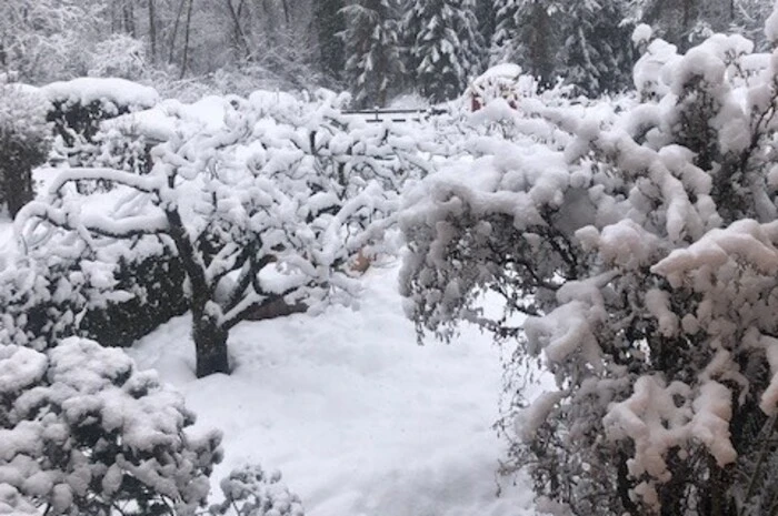 Winterliches Villach.